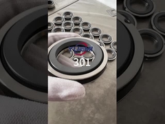 301 Segel Mekanis Single-Spring( Ganti Aesseal B01, Bt-Ar, Flowserve 118, Mut Fa untuk Cyclan B01