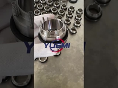 AES MSS Segel Mekanis Untuk Pompa Inoxpa & Prolac Pump Water Pump Segel Karbon / Sic / Viton