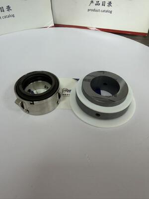 John Crane 8b2 untuk Seal Pompa Armstrong 4300 4302 dan 4312 Seal ST Mechanical Seal