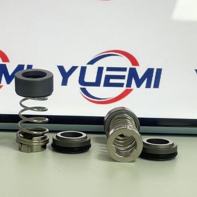 CH 2-20/30 12mm untuk Grundfos Pump Aqqe Pump Cr mechanical seal